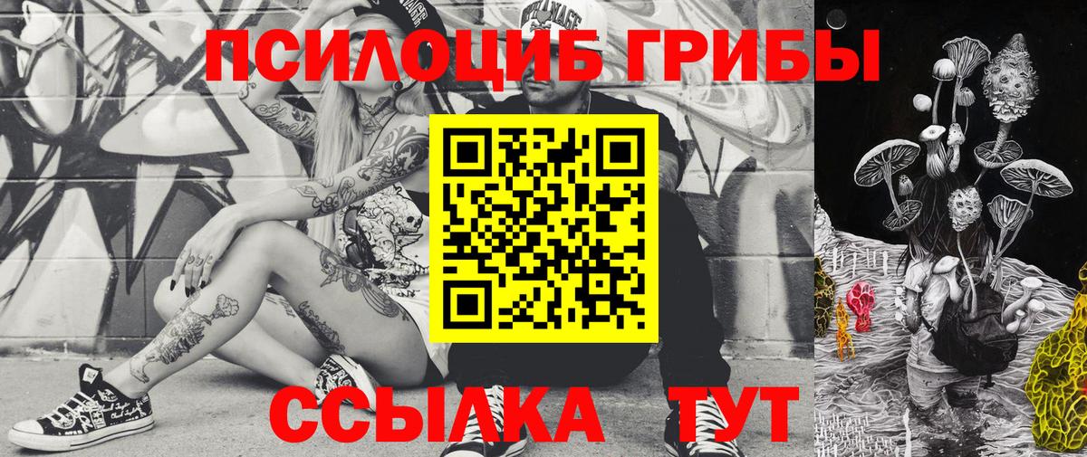 Чита  Псилоцибиновые грибы Psilocybine cubensis  Галлюциногенные грибы ЛСД  Вход с VPN 
