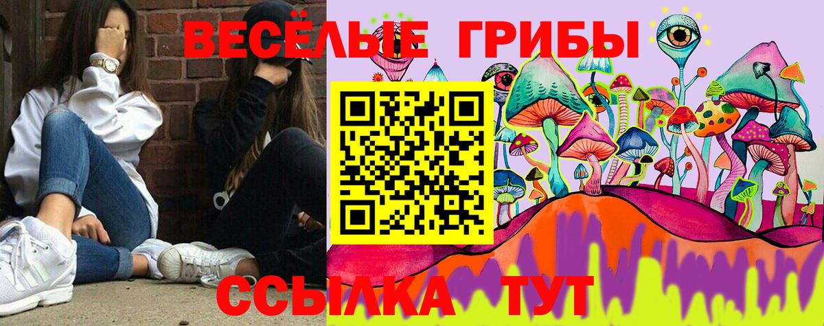 Псилоцибиновые грибы ЛСД Чита