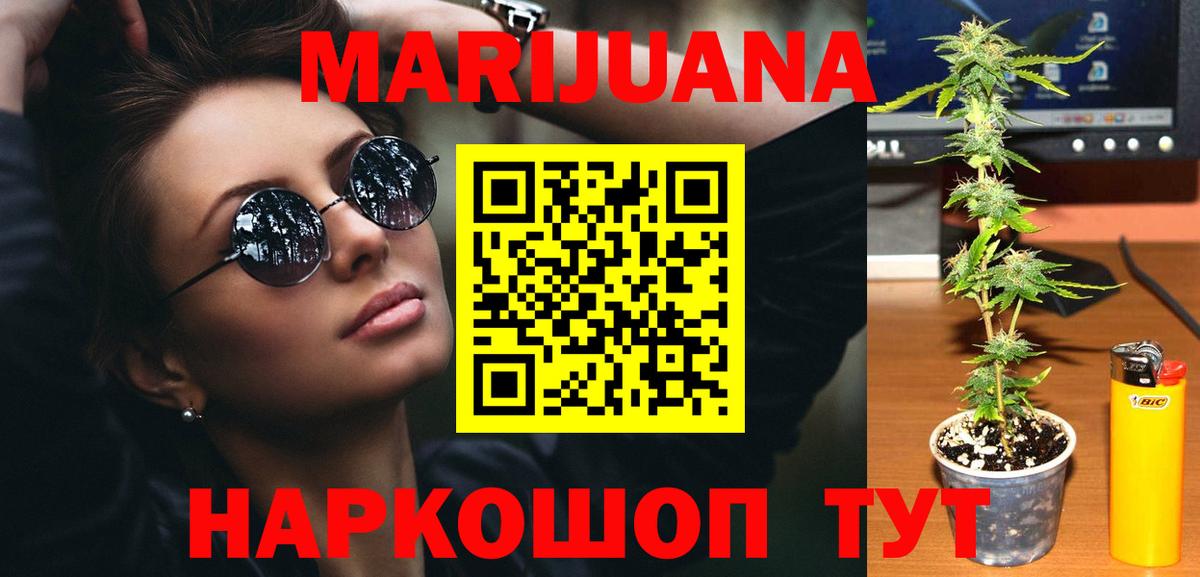 МАРИХУАНА сатива Чита
